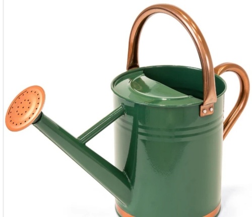 1-Gallon Galvanized Steel Watering Can w/ O-Ring, Top Handle - Lot 177a
