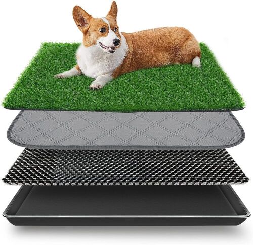 Dog Potty Grass Pad with Tray - Lot 749