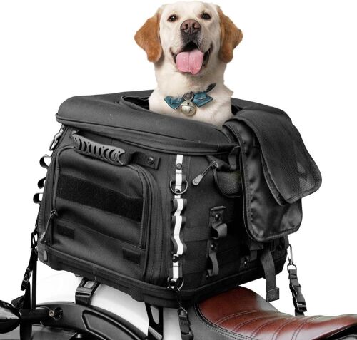 Goldfire Motorcycle Portable Pet Carrier  - Lot 529