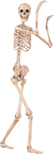 Crazy Bonez Pose-N-Stay 5' Skeleton  - Lot 13