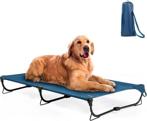 Folding Elevated Dog Bed - Lot 724