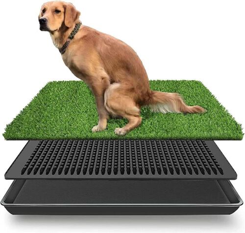 LOMANTOWN Dog Potty Grass, 30" x 20"  - Lot 366