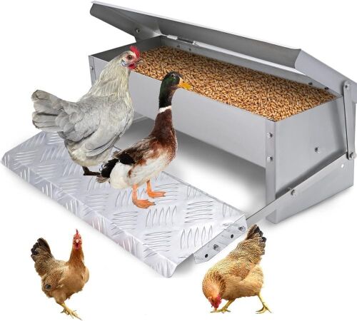 Automatic Poultry Feeder - Lot 399