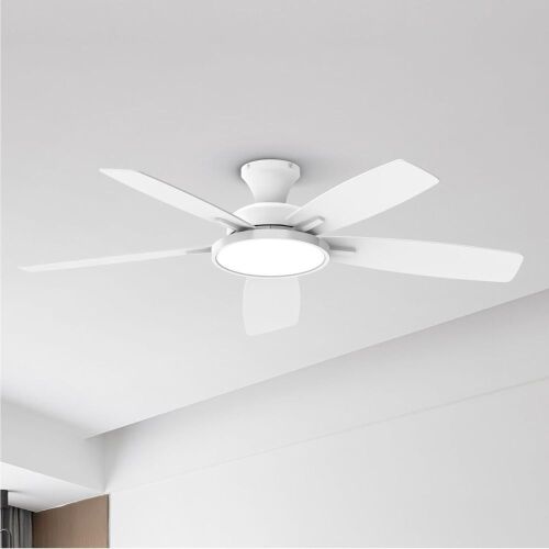 Taloya Ceiling Fan with Light  - Lot 590