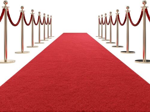 HOMBYS Extra Thick Red Carpet Runner for Events, 3x10 ft - Lot 487
