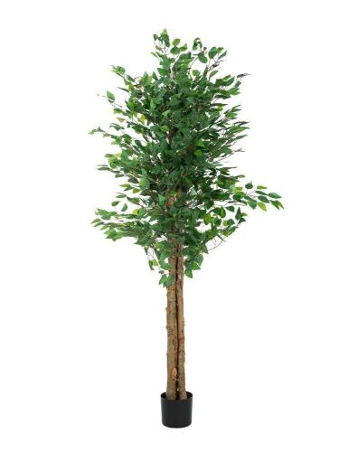 6' Artificial Fiscus Tree with Plastic Pot  - Lot 249