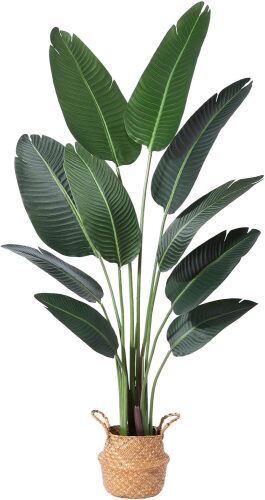 Artificial Bird of Paradise Plants - Lot 1040
