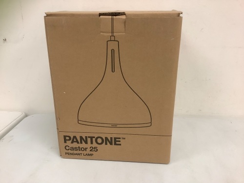 Pantone Castor 25 Pendant Lamp, Appears New - Lot 393