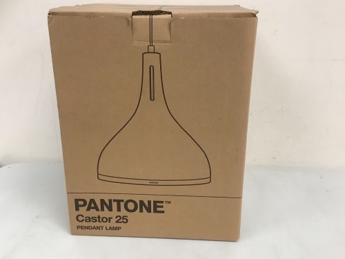 Pantone Castor 25 Pendant Lamp, Appears New - Lot 430