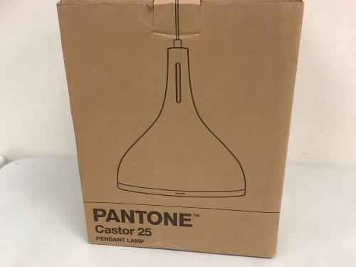 Pantone Castor 25 Pendant Lamp, Appears New - Lot 666