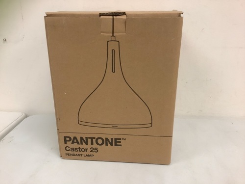 Pantone Castor 25 Pendant Lamp, Appears New - Lot 714