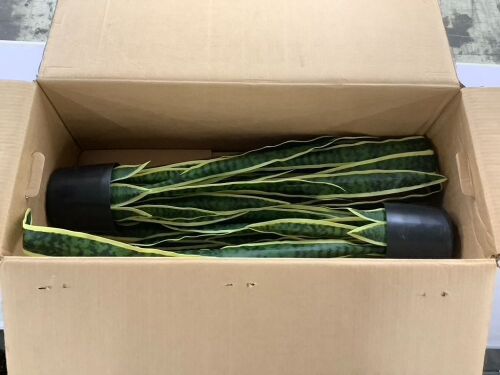 Artificial Snake Plant, 2 Pack - Lot 275