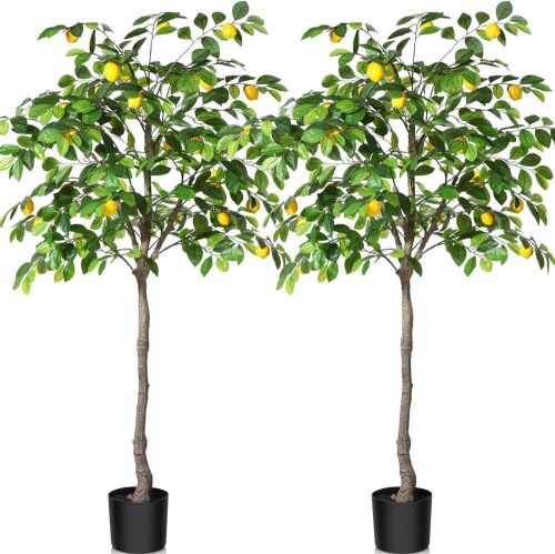  Kazeila 5 Feet Artificial Lemon Tree, 2 Pack  - Lot 685