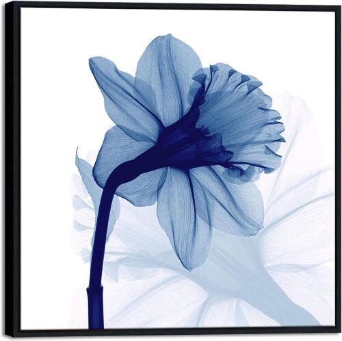 Pyradecor Black Framed Blue Flower Canvas  - Lot 198