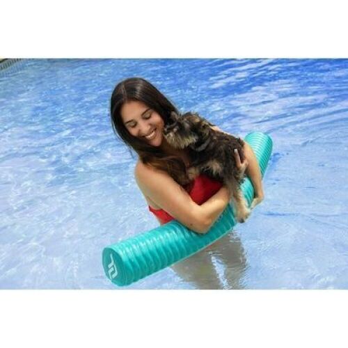 IMMERSA  Deluxe Solid Jumbo Pool Noodle - Lot 466