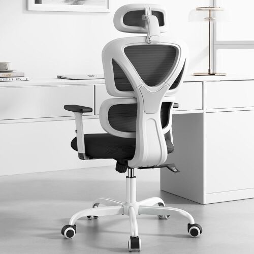 Sytas Ergonomic Home Office Chair - Lot 286