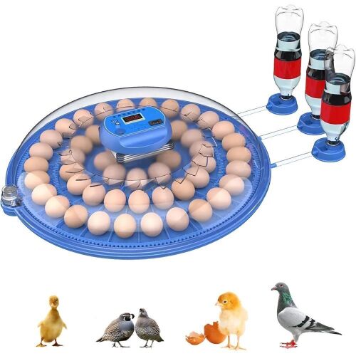 52 Egg Incubator, Automatic Egg Turner, Automatic Water Adding - Lot 563