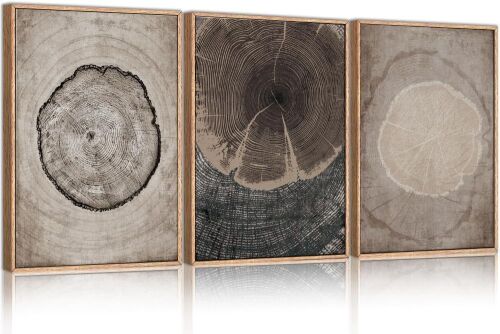 CHDITB Beige Tree Ring Framed Canvas Wall Art Set - Lot 701