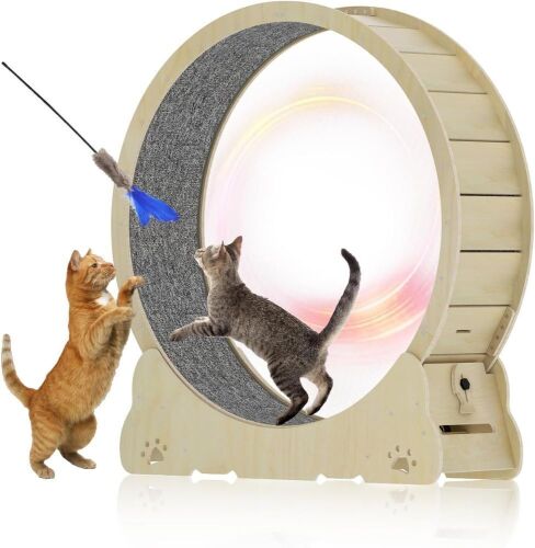 DLPIN Cat Exercise Wheel - Lot 70