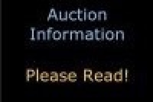 AUCTION INFORMATION - PLEASE READ! - Lot 2