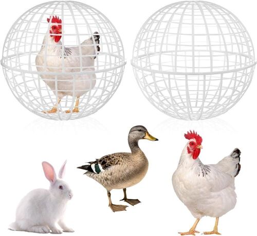 Chicken Orb Cage, 3 pc  - Lot 362