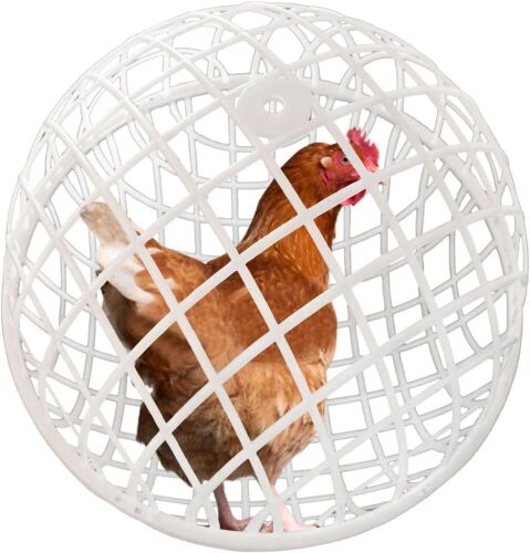Chicken Orb Cage, 3 pc  - Lot 363