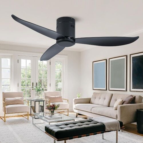LEEAGLEGRY 52'' Ceiling Fan - Lot 382