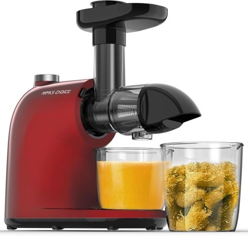 Masticating Slow Juicer - Lot 788