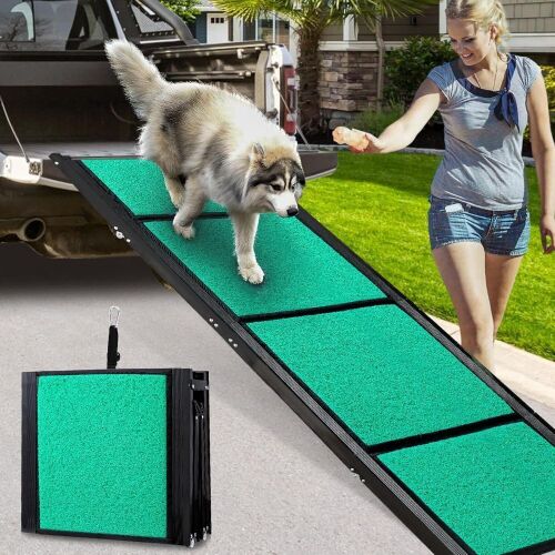Folding Pet Ramp  - Lot 265