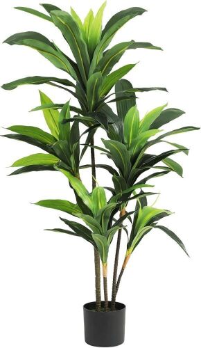 VIAGDO Dracaena Silk Plant  - Lot 181