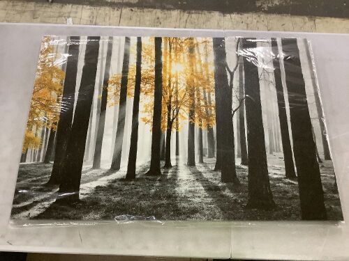 Canvas Wall Art  - Lot 410
