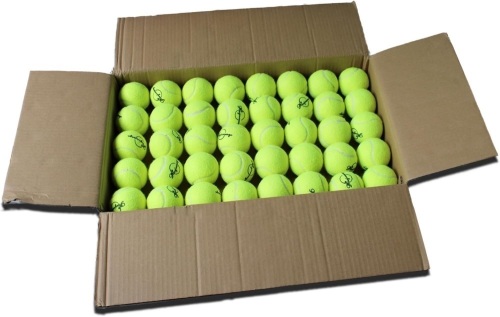 Magicorange Tennis Balls, 120 Pack Advanced Training Tennis Balls Practice Balls, Pet Dog Playing Balls, Good for Beginner Training Ball - Lot 2384