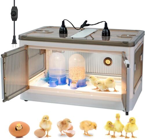 Chicken Brooder Box  - Lot 194