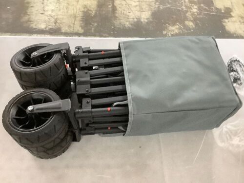 Raynesys Collapsible Wagon - Lot 571