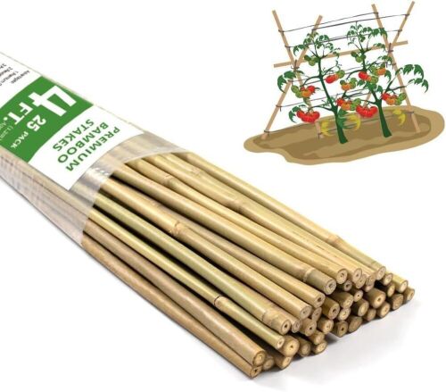 4' Bamboo Garden Stakes, 25pc  - Lot 494