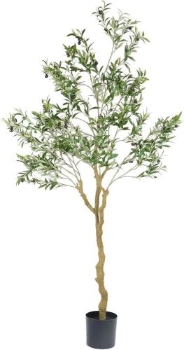 Nafresh Faux Olive Tree, 7ft - Lot 563