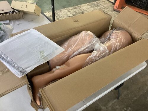 Full Body Mannequin - Lot 91