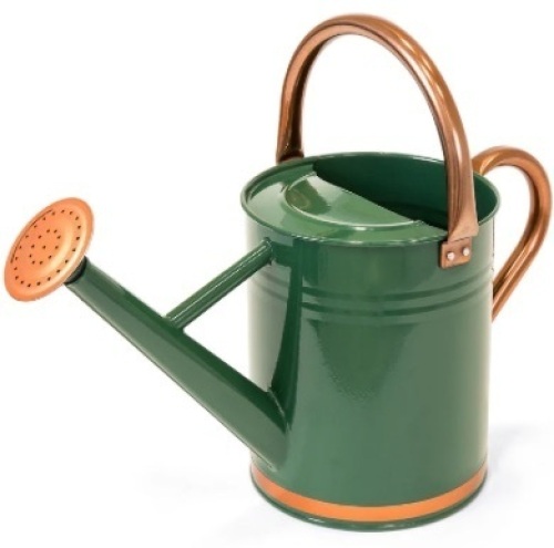 1-Gallon Galvanized Steel Watering Can w/ O-Ring, Top Handle $39.99 - Lot 133