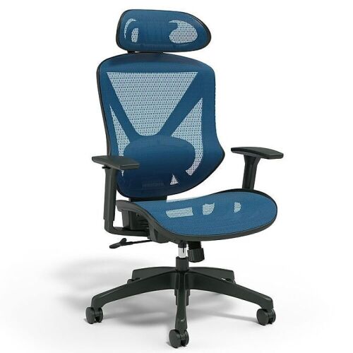 Staples Dexley Ergonomic Mesh Swivel Task Chair - Lot 100