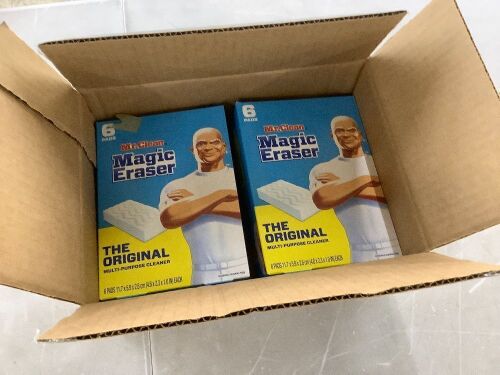 Mr. Clean Magic Eraser Sponges - Lot 349
