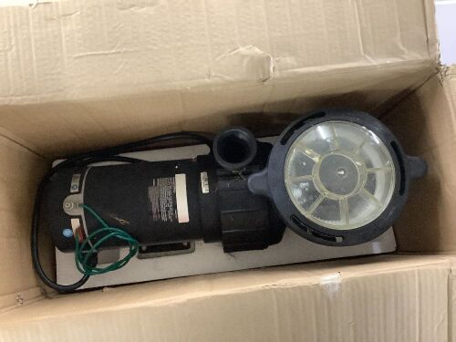 5280GPH 1.5HP 115V Single Speed Swim Pool Pump 1100W - Lot 849