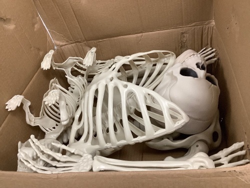 Skeleton and Skeleton Dog Halloween Decoration - Lot 3619