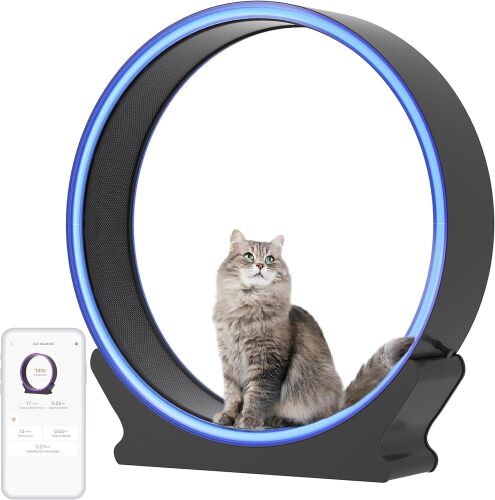 Smart Cat Wheel - Lot 3711