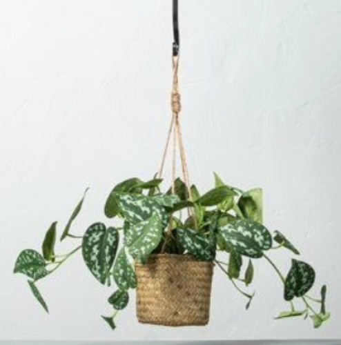 Hearth & Hand  Lot of 4 Hanging Pothos Bush $14.99 x 4 $59.96 - Lot 87