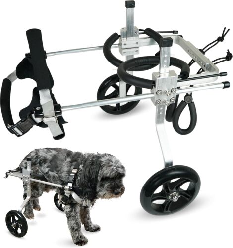 Dog Wheelchair for Back Legs - Large - Lot 4375