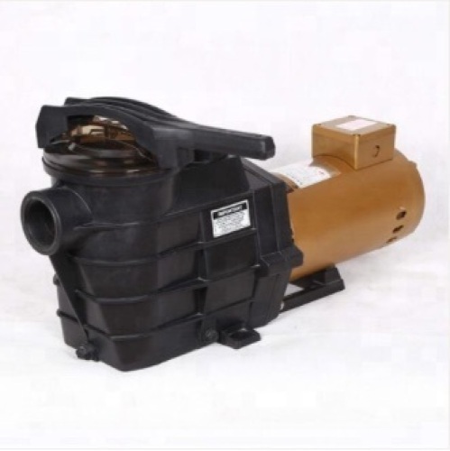Centrifugal Water Pumps Single-Speed In-Ground Swimming Pool Pump - Lot 4379