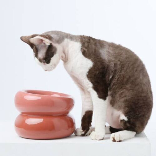 Lot of (8) Soufflé Pet Bowls, Rose Pink - Lot 131