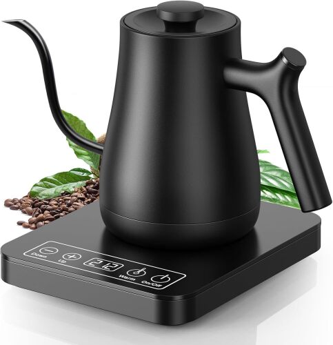 Gooseneck Electric Kettle with Temperature Control - Lot 4373