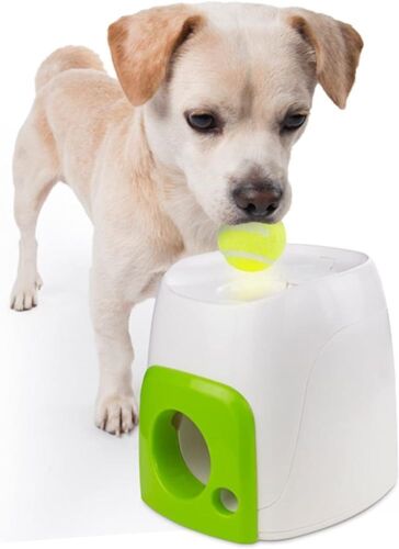 ALL FOR PAWS Interactive Fetch-N-Treat Dog Toy - Lot 609