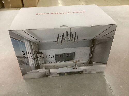 Lot of (2) Smart Security Camera  - Lot 158